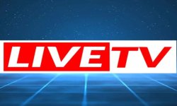 LiveTV