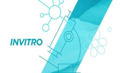 Инвитро